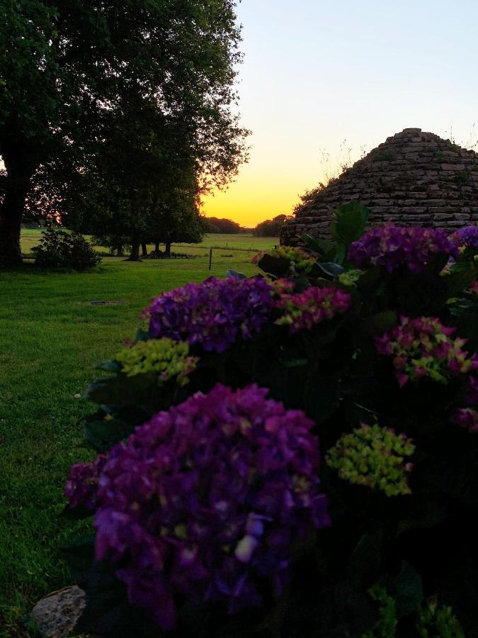 Au Coeur De La Nature Allaire Экстерьер фото